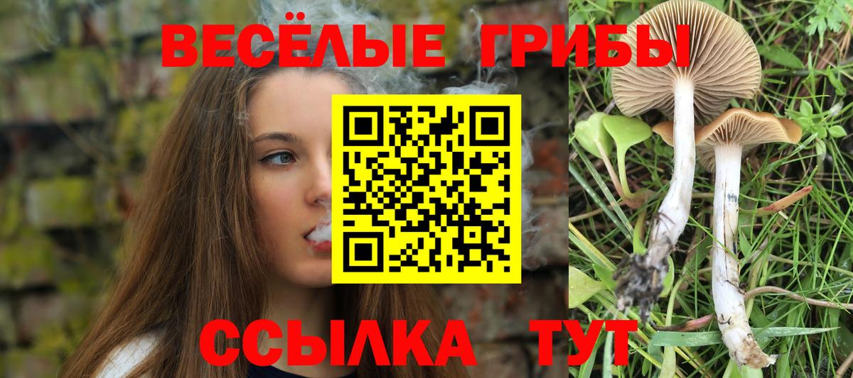 Псилоцибиновые грибы мицелий  Вход с VPN  Азнакаево 